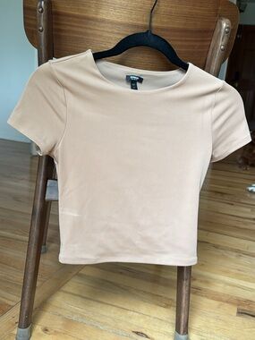 Express Beige Short Sleeve Crop Top